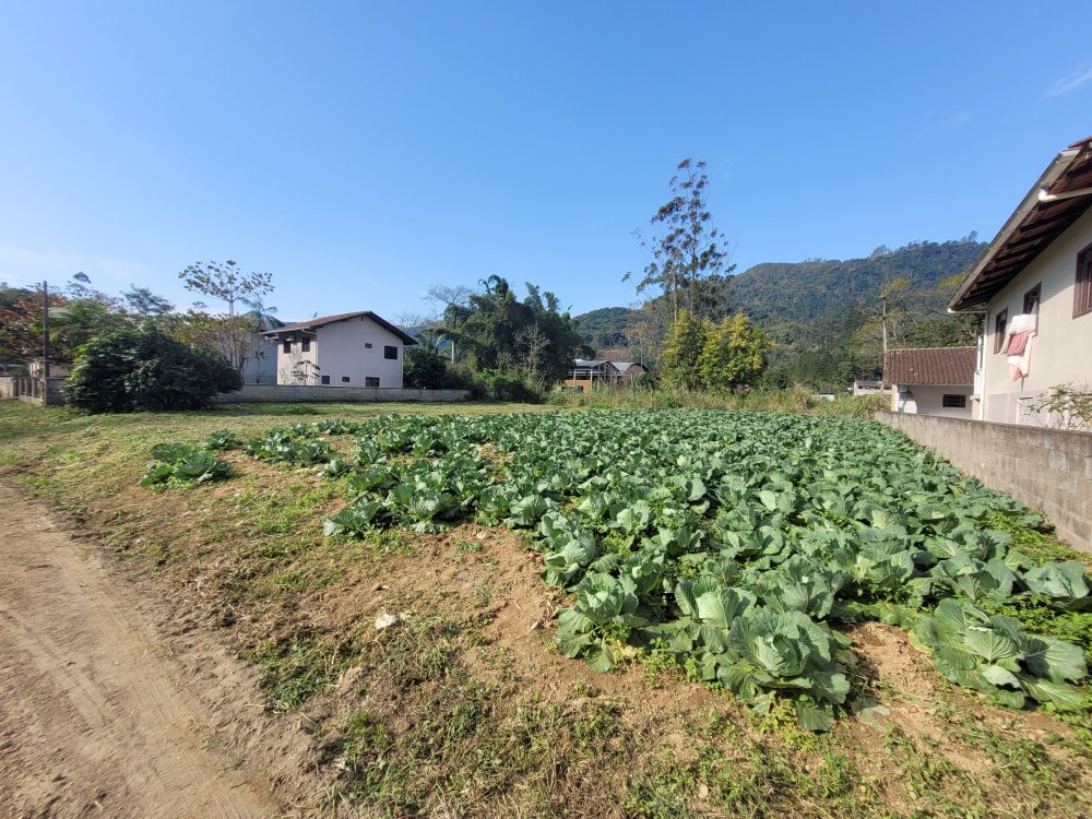 Terreno - Venda - Centro - Benedito Novo - SC