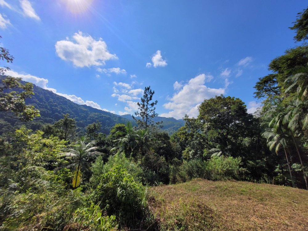 Terreno - Venda - Ribeiro das Antas - Benedito Novo - SC